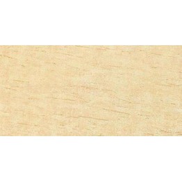 Gạch lát sàn Trường Thịnh COOLSTONE C12401